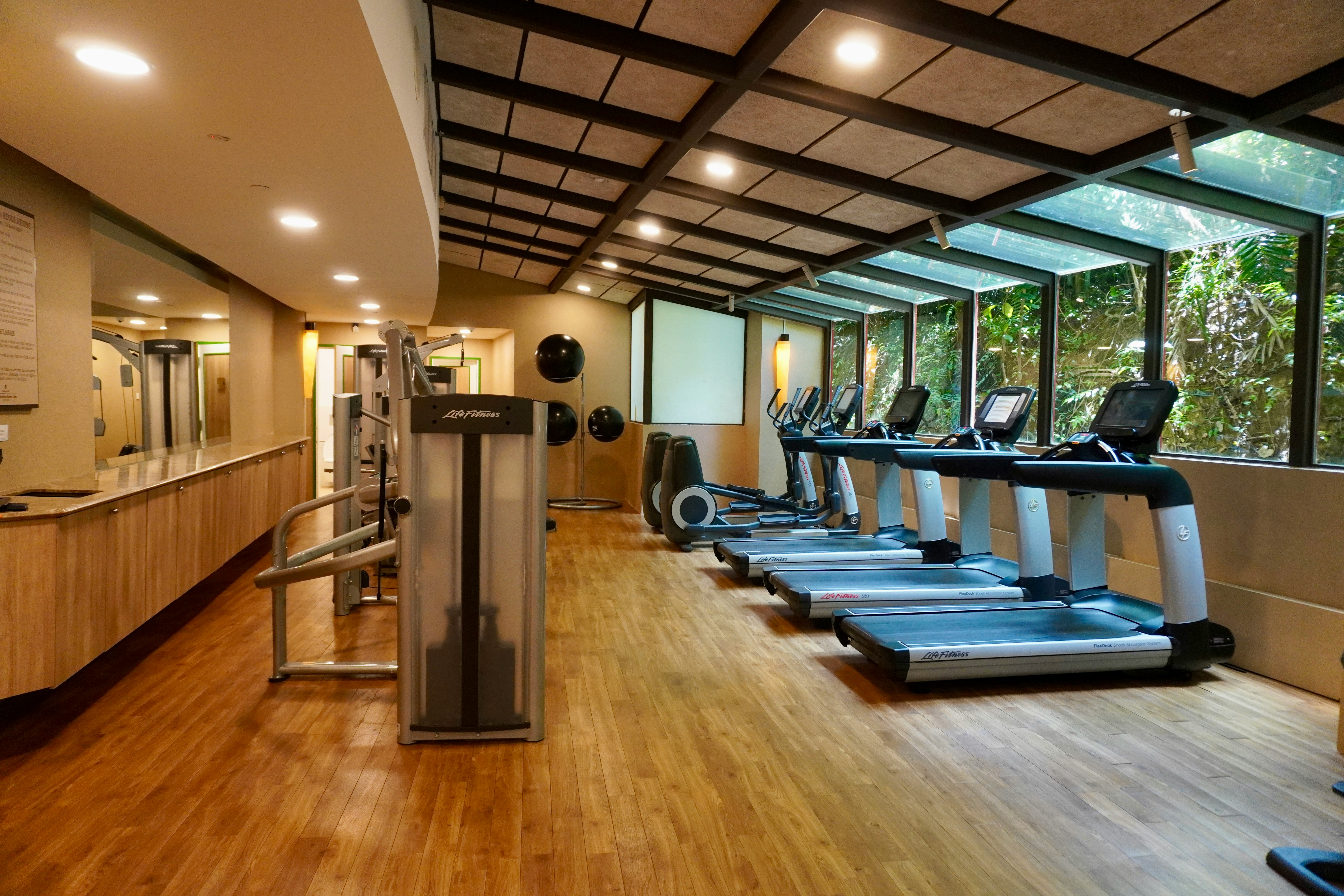 Cardio equipment at the gym